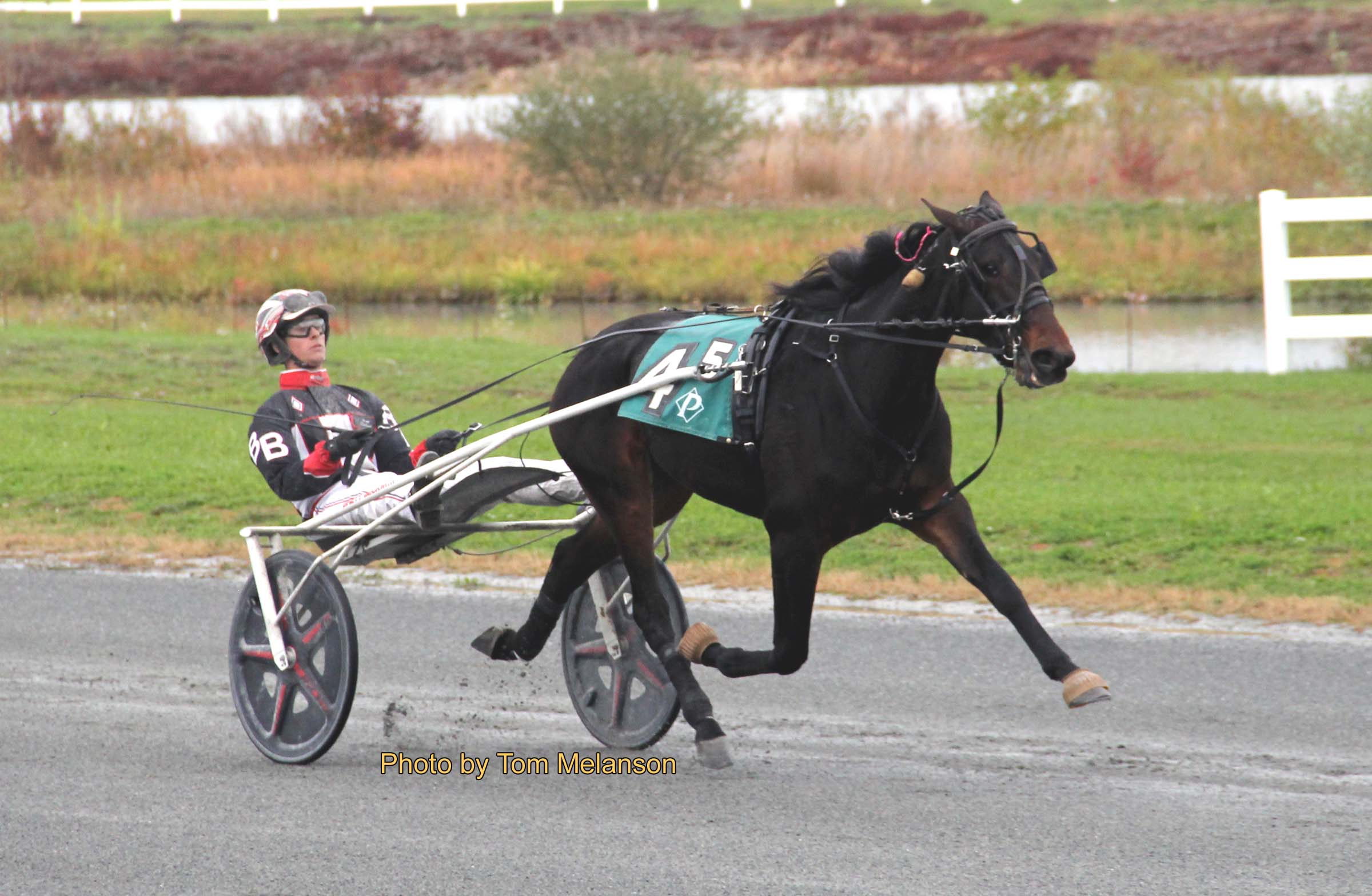 Beckwith stars with four Massachusetts Stakes wins