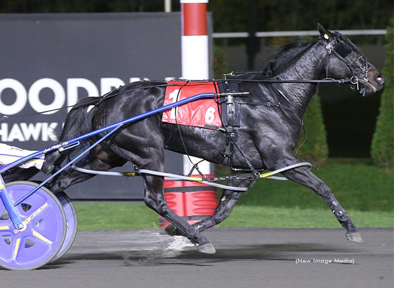 Control Your Bet springs 9-1 Harvest Series upset