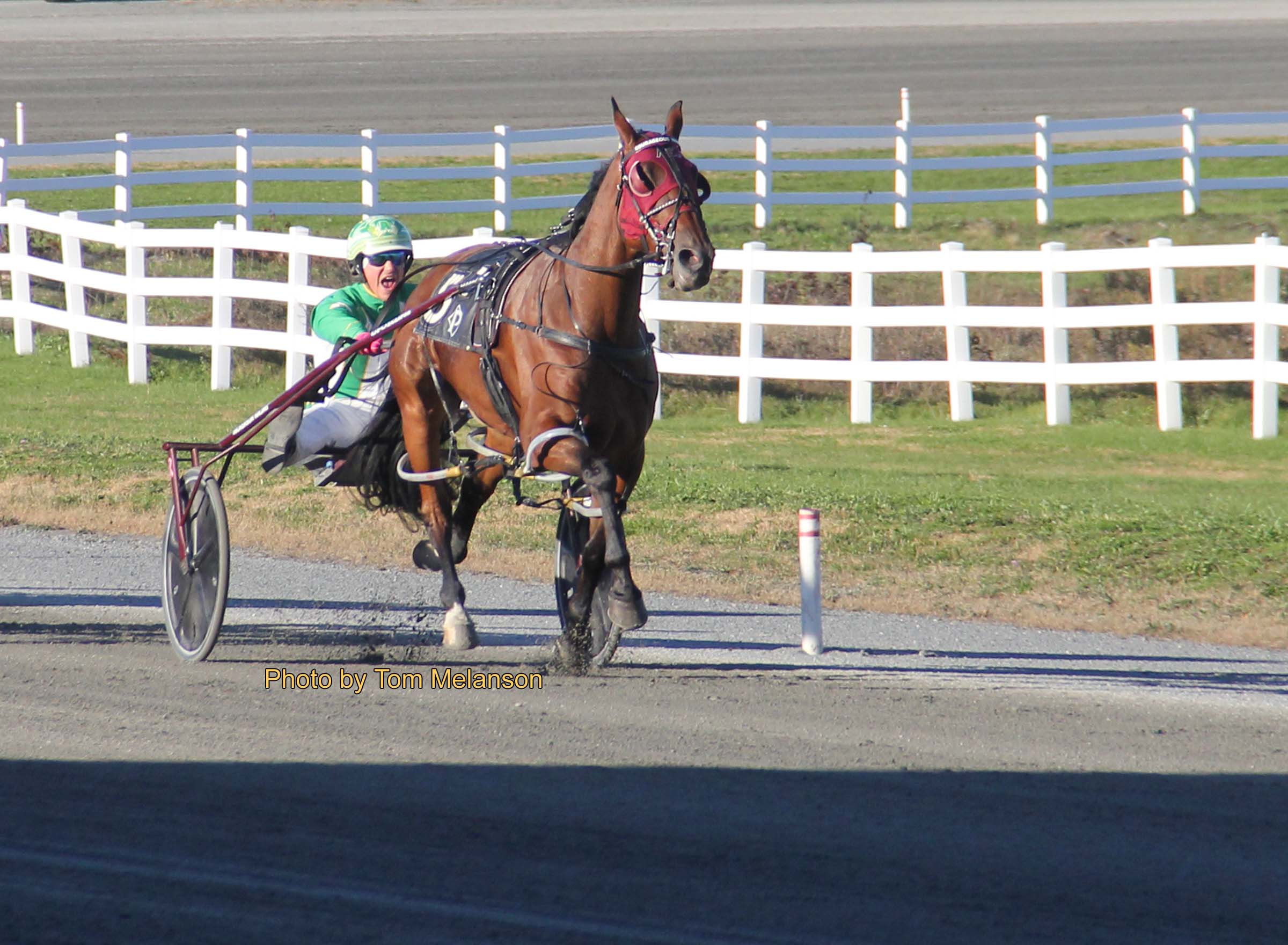 Courageous Warrior scores upset in Massachusetts Breeders Stakes