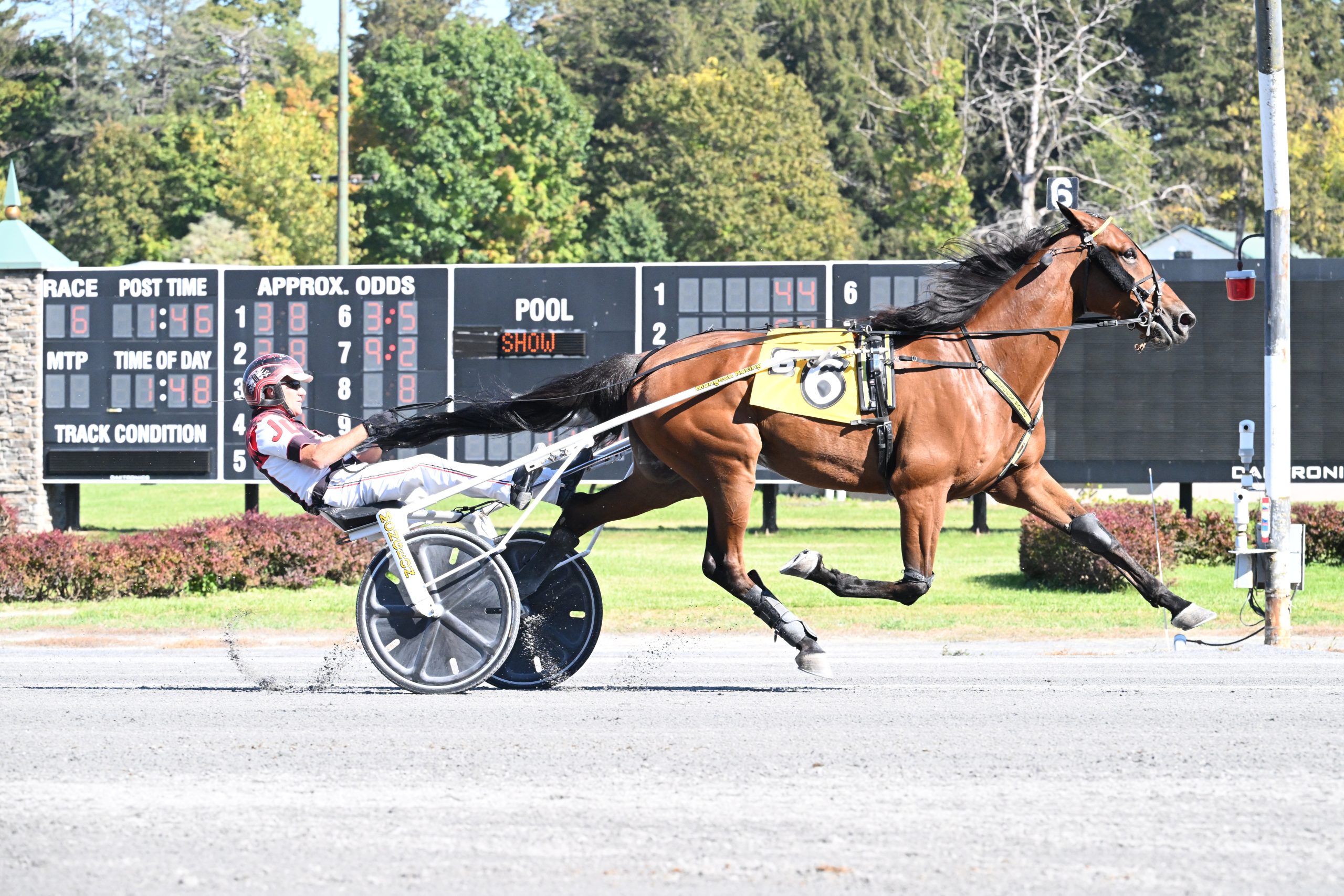 Crazy Wow trotter a decisive victor