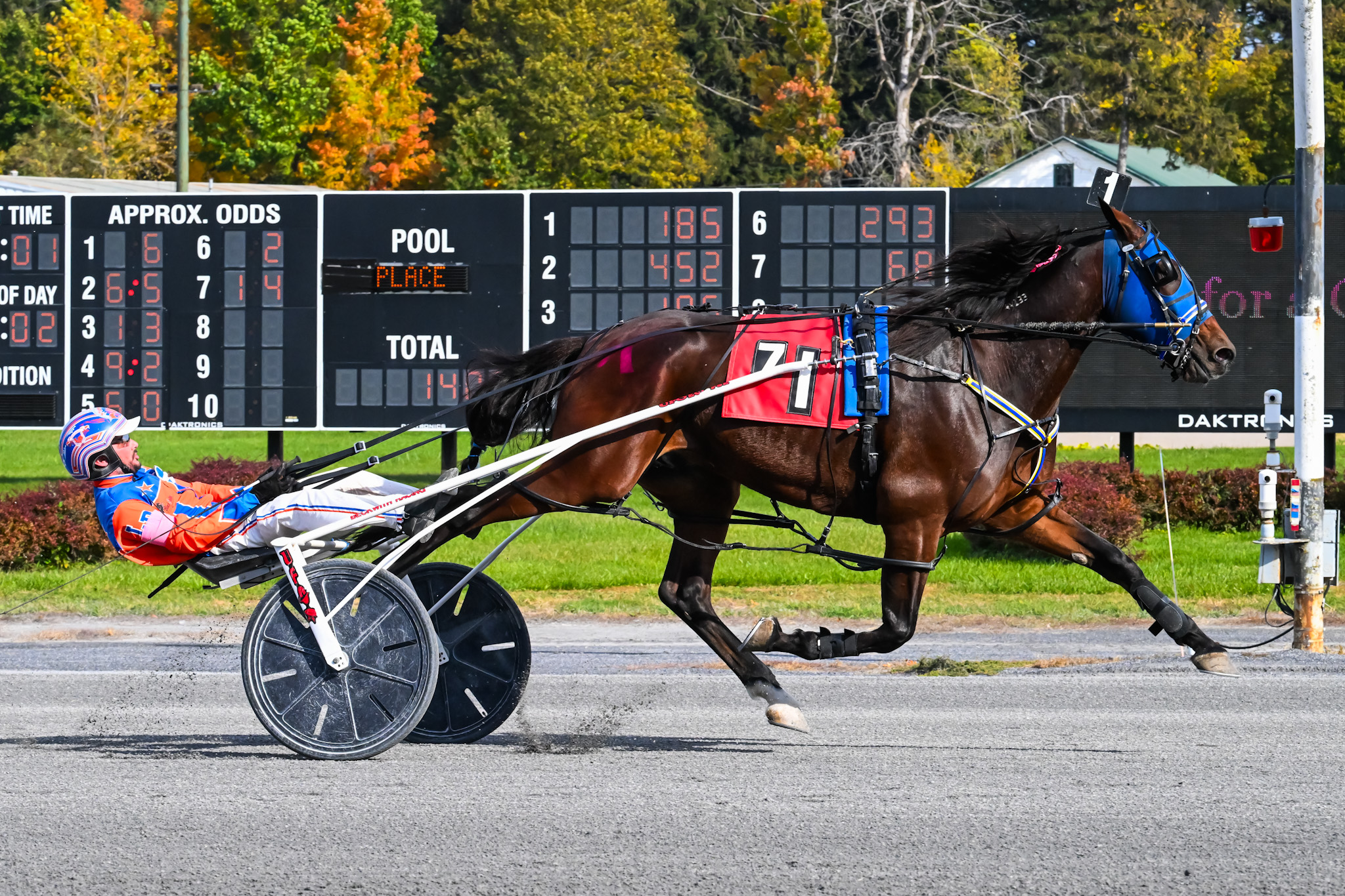 Jimble Kimble relentless in Race For The Cure victory