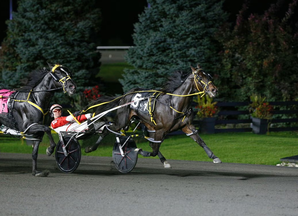 Dandy Ideal ends the winning streak of Louprint