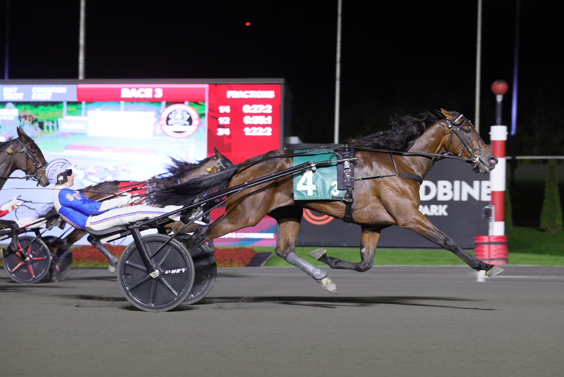 Delaney Hanover, Yo Tillie shine in Breeders Crown Elims