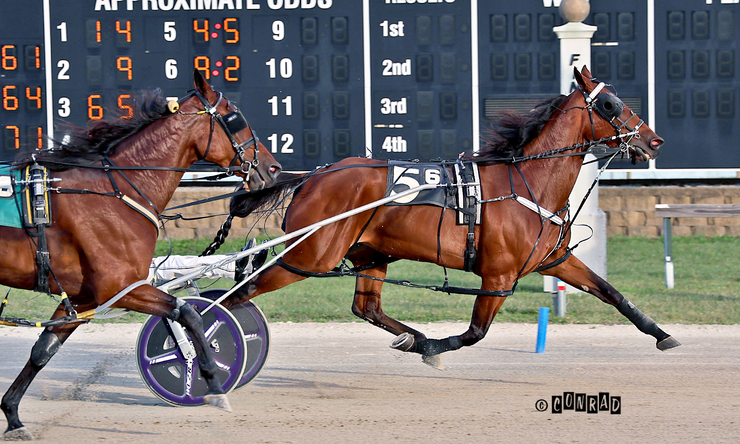 Smith’s grab filly/mare Open Pace