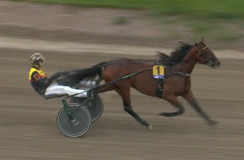 Dream Mine wins UET Grand Prix at Solvalla