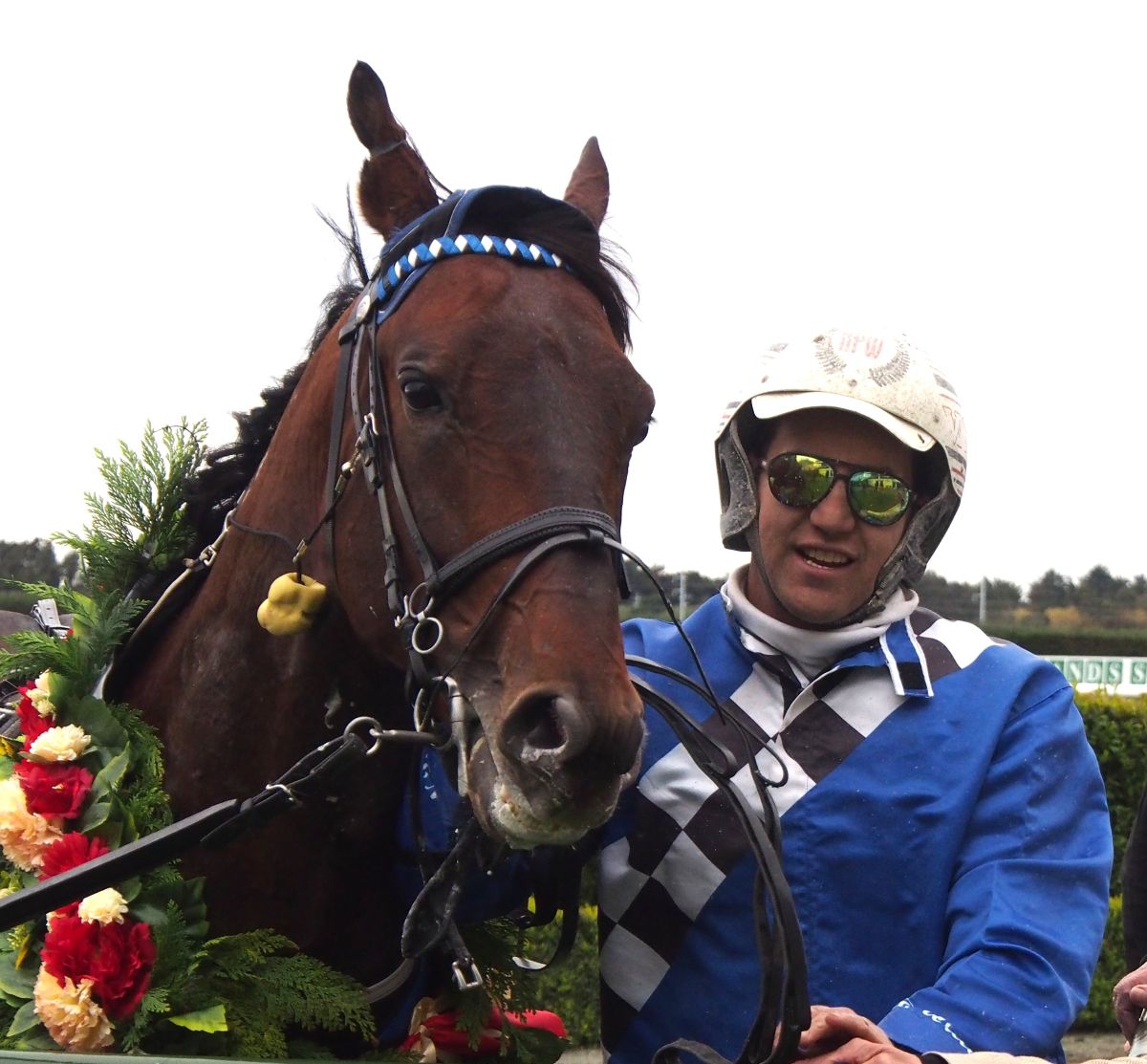 Not perfect but Dreams Are Free wins Cup