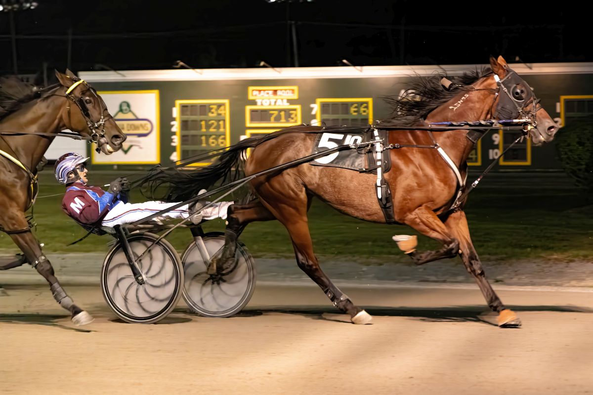 Duke Lavictoire breaks track trot record