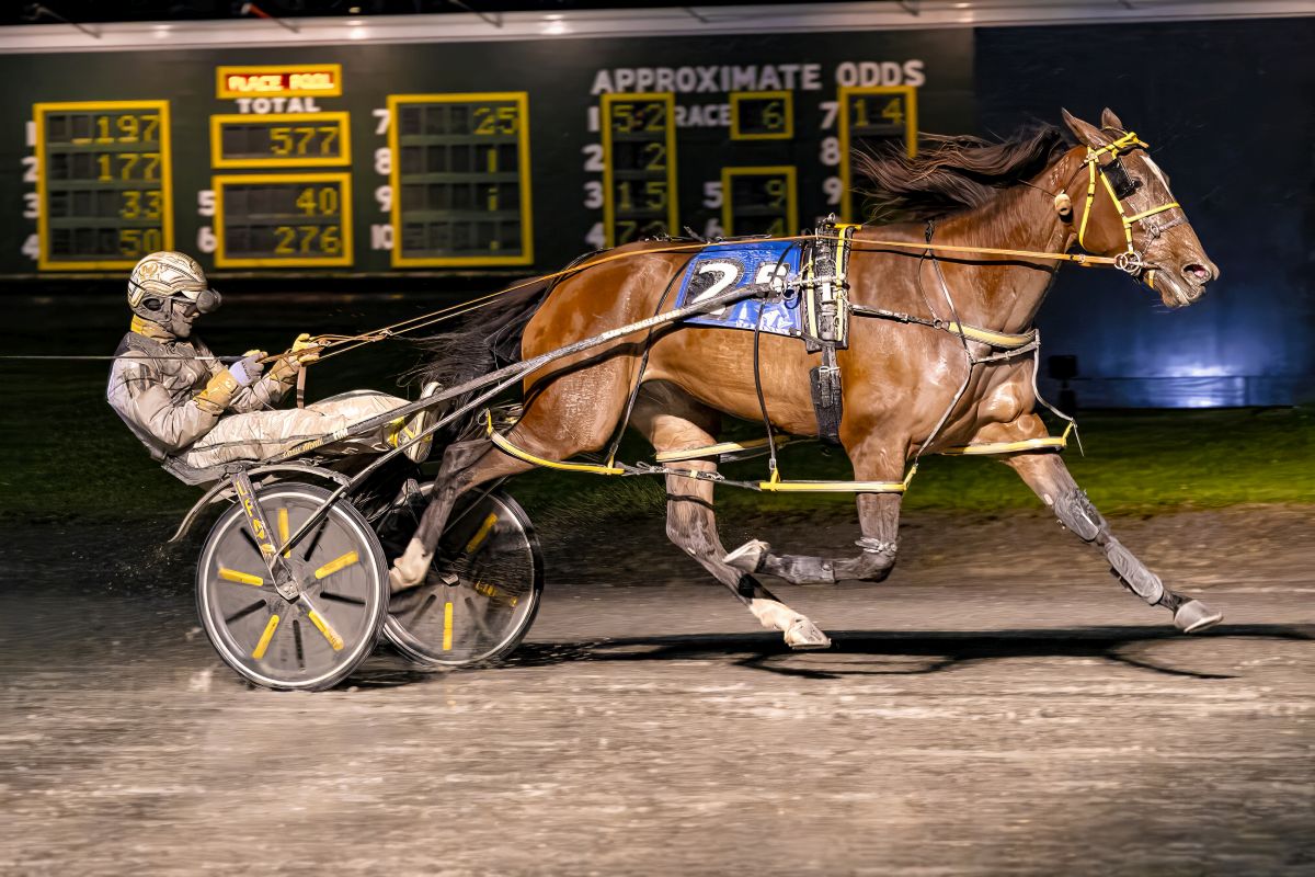 Aussie mare Elegant Woman A splashes to victory