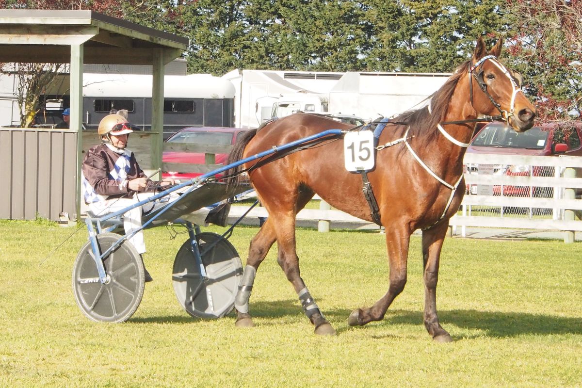 Williamson says it’s mission impossible for Empire City