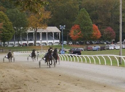 OHHA to Live Stream from 175th Fairfield County Fair