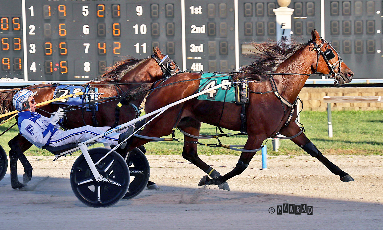 Fearless Ginger extends winning form at Dayton