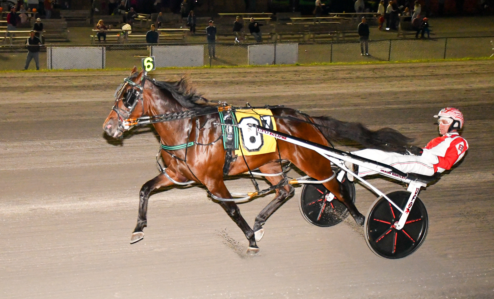 Bartlett dominates Big Apple Finals with three wins