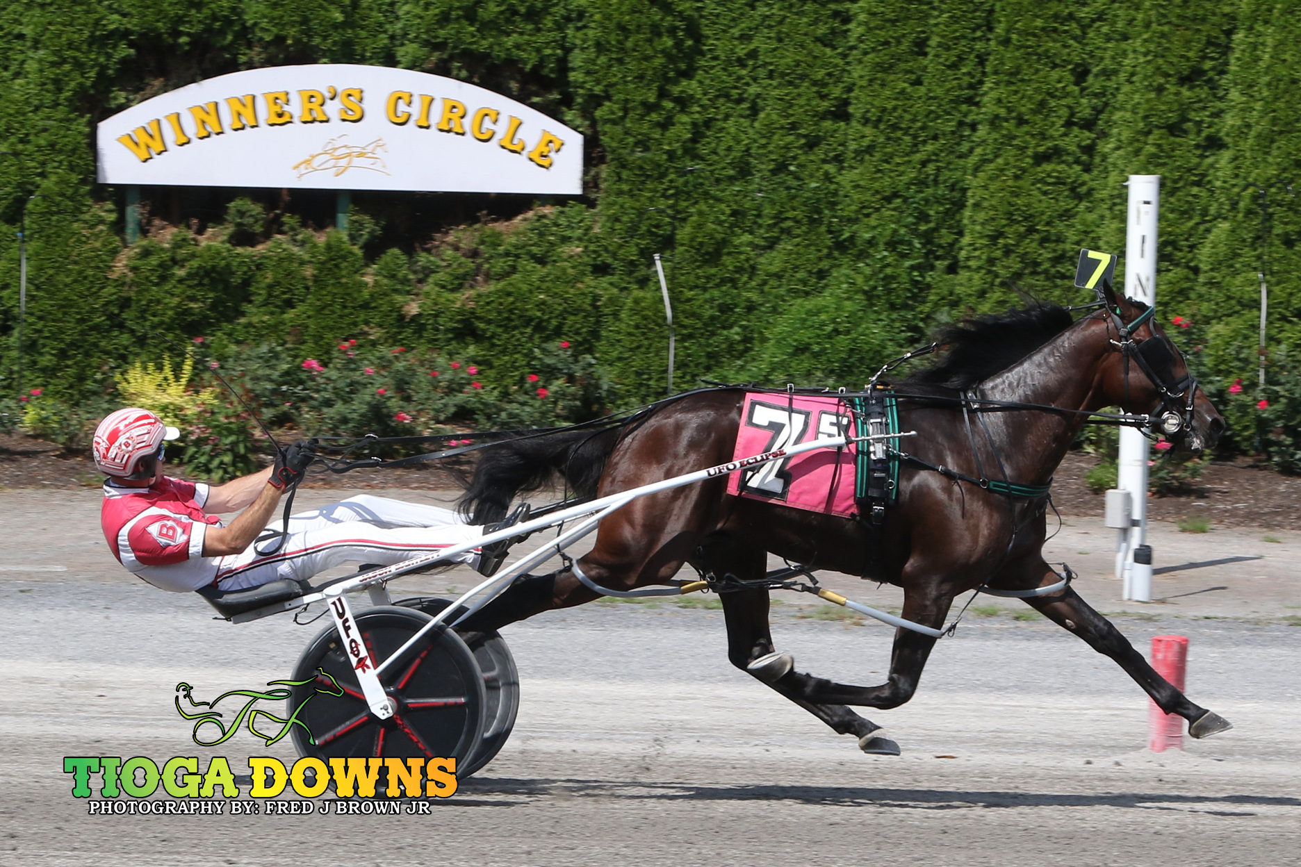 Big Apple eliminations kick off on Saturday