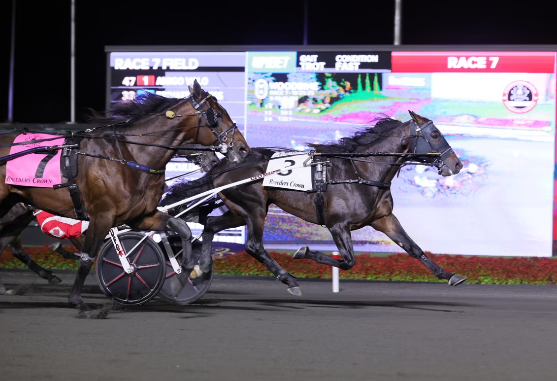 French Wine uncorks a record 1:50.1 in $822,000 final