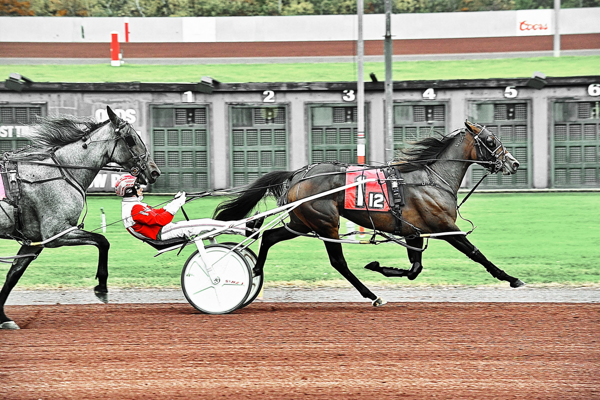 Top drivers share honors in Simpson Stakes action