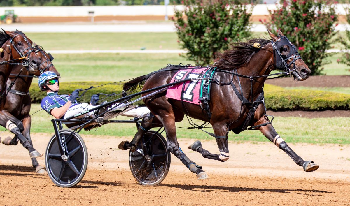 Connections hoping for top ‘Dog’ status in $500,000 Futurity