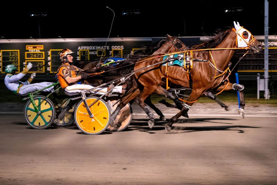 Good Boy was best in Batavia Friday feature