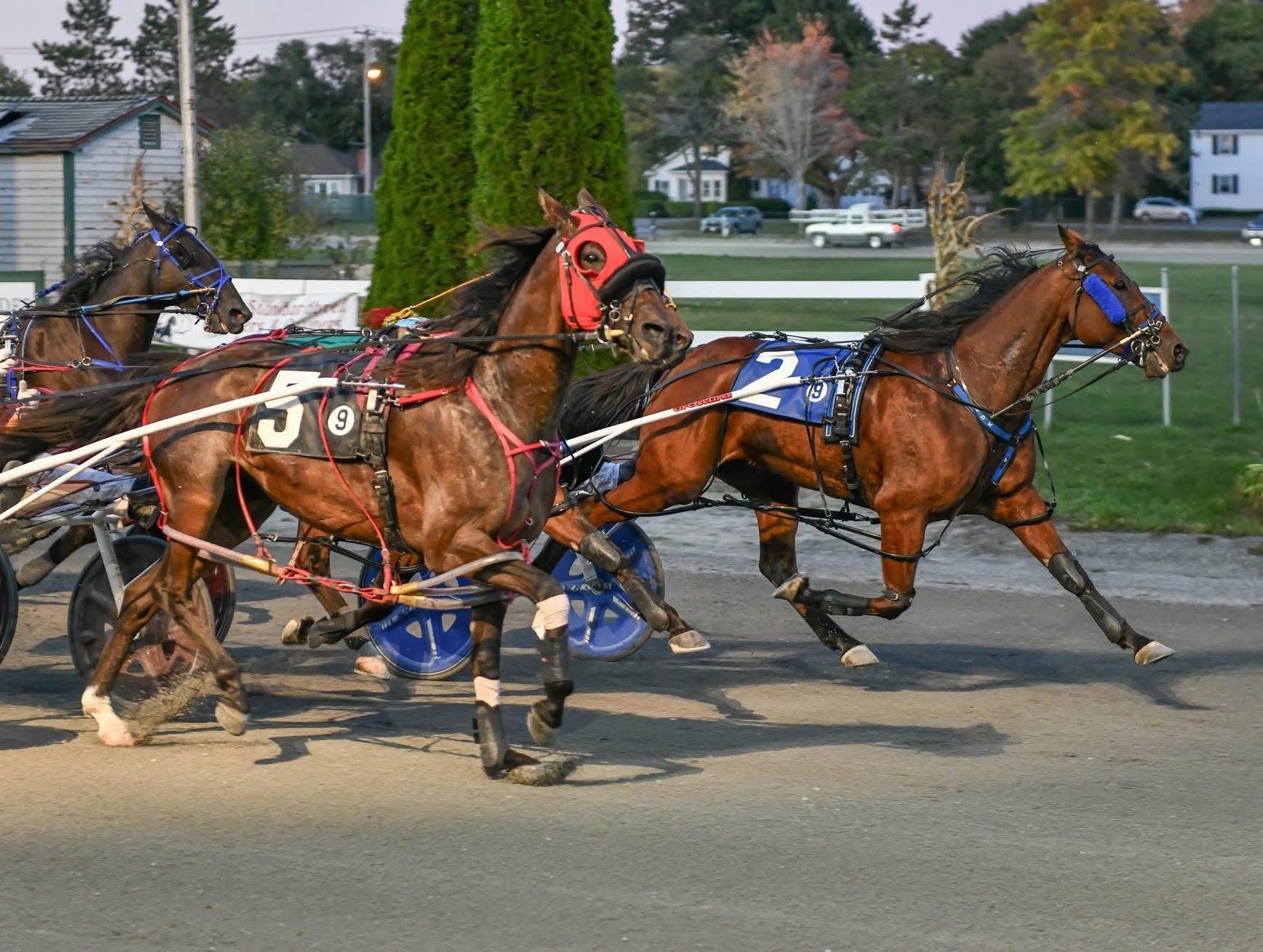 Heinikin Bythebay wins the Fred Nichols Invitational