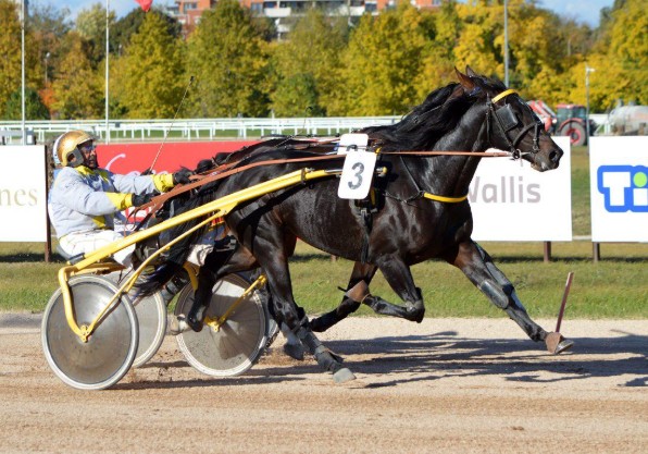 Hidalgo TIM takes Ketevesek Nagydija