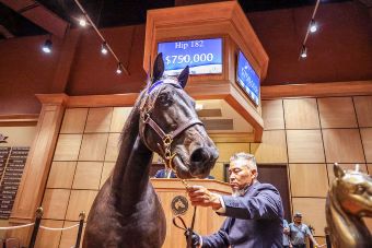 Sons of King Of The North, Captain Corey top Lexington results