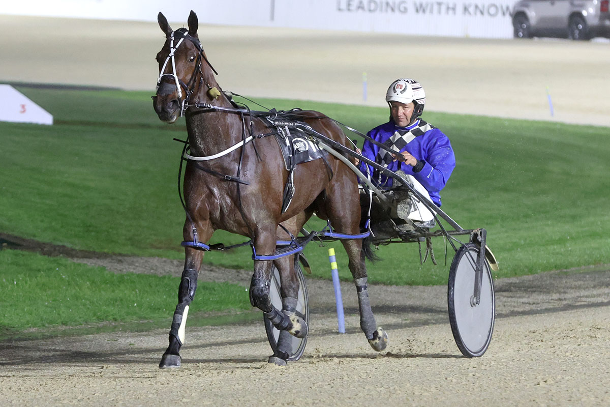 Royally bred filly upsets at Addington