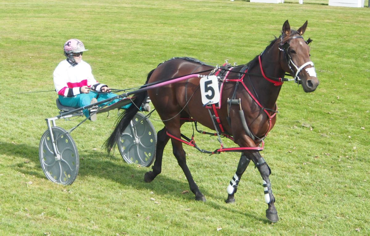 Gutsell has entire team for hometown meet