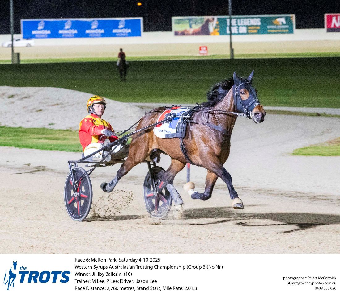 Jilliby Ballerini lead them a merry dance in Aust Trotters Championship