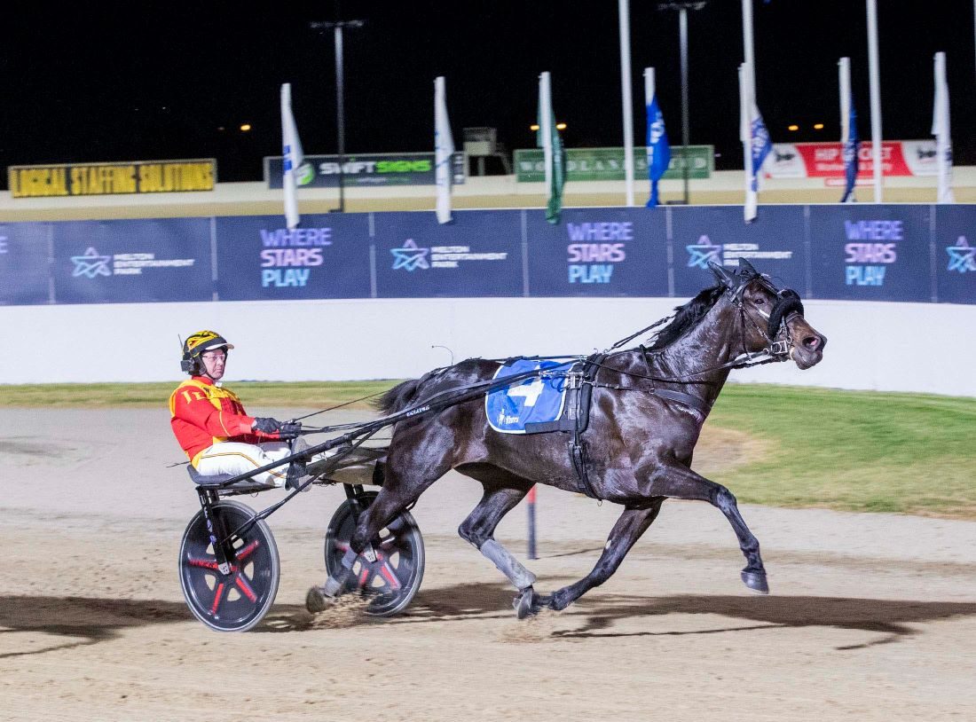 Trent’s Tips – Saturday Harness Racing Best Bets 31st January