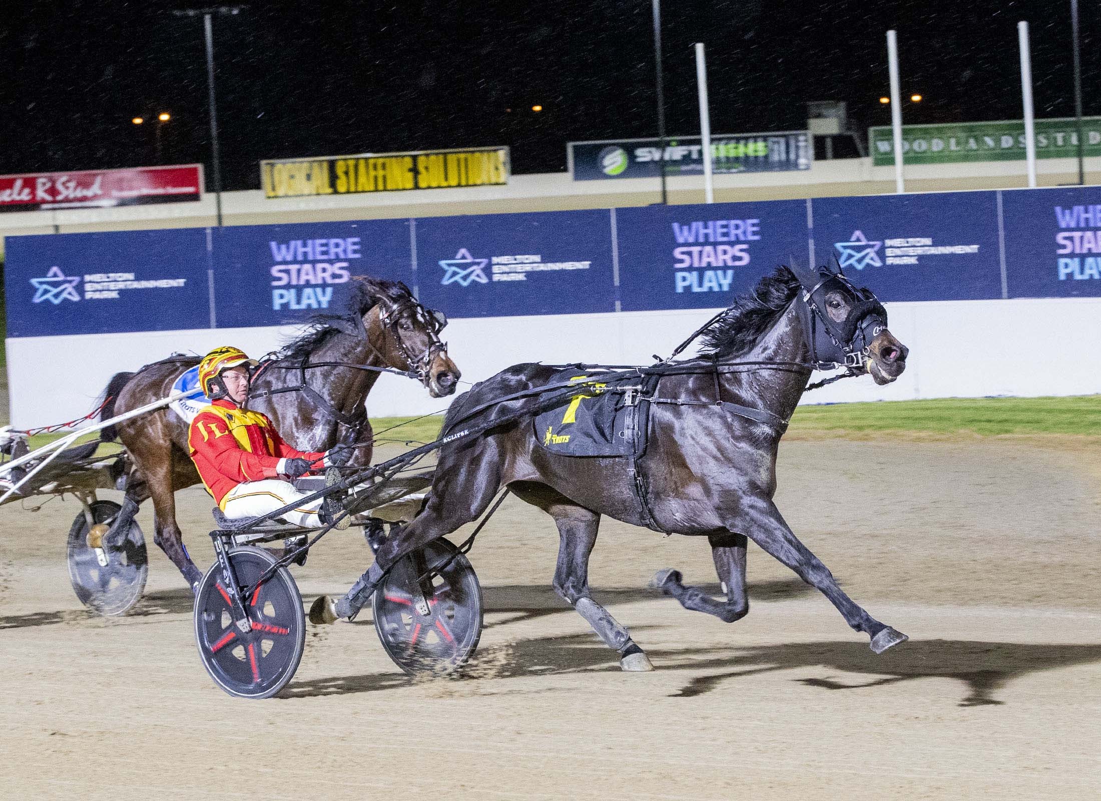 Group 1 showdown for top trotters