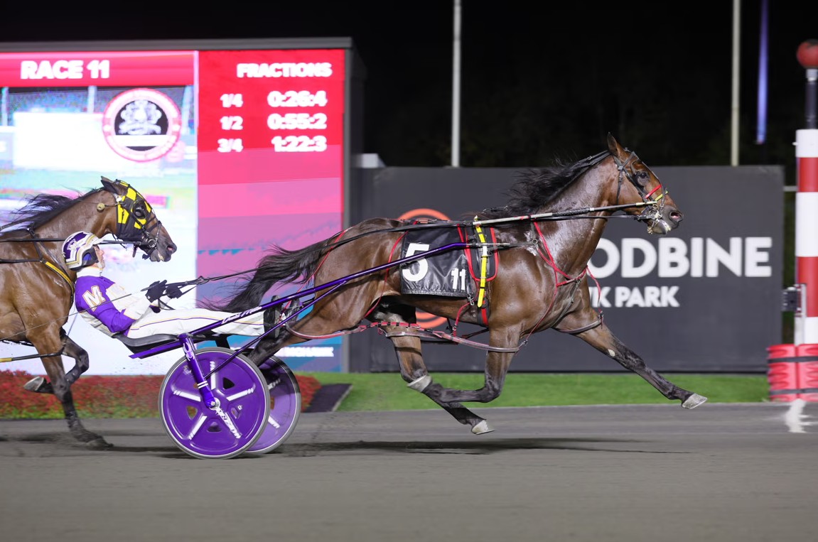 Captaintreacherous sons star in Breeders Crown Elims