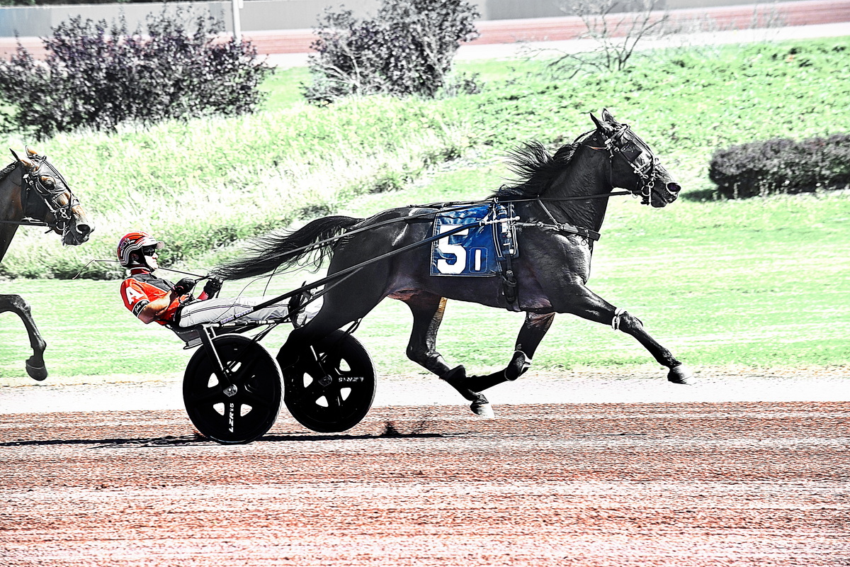 Kierkegaard K, Captain Moore A winners in the spotlight