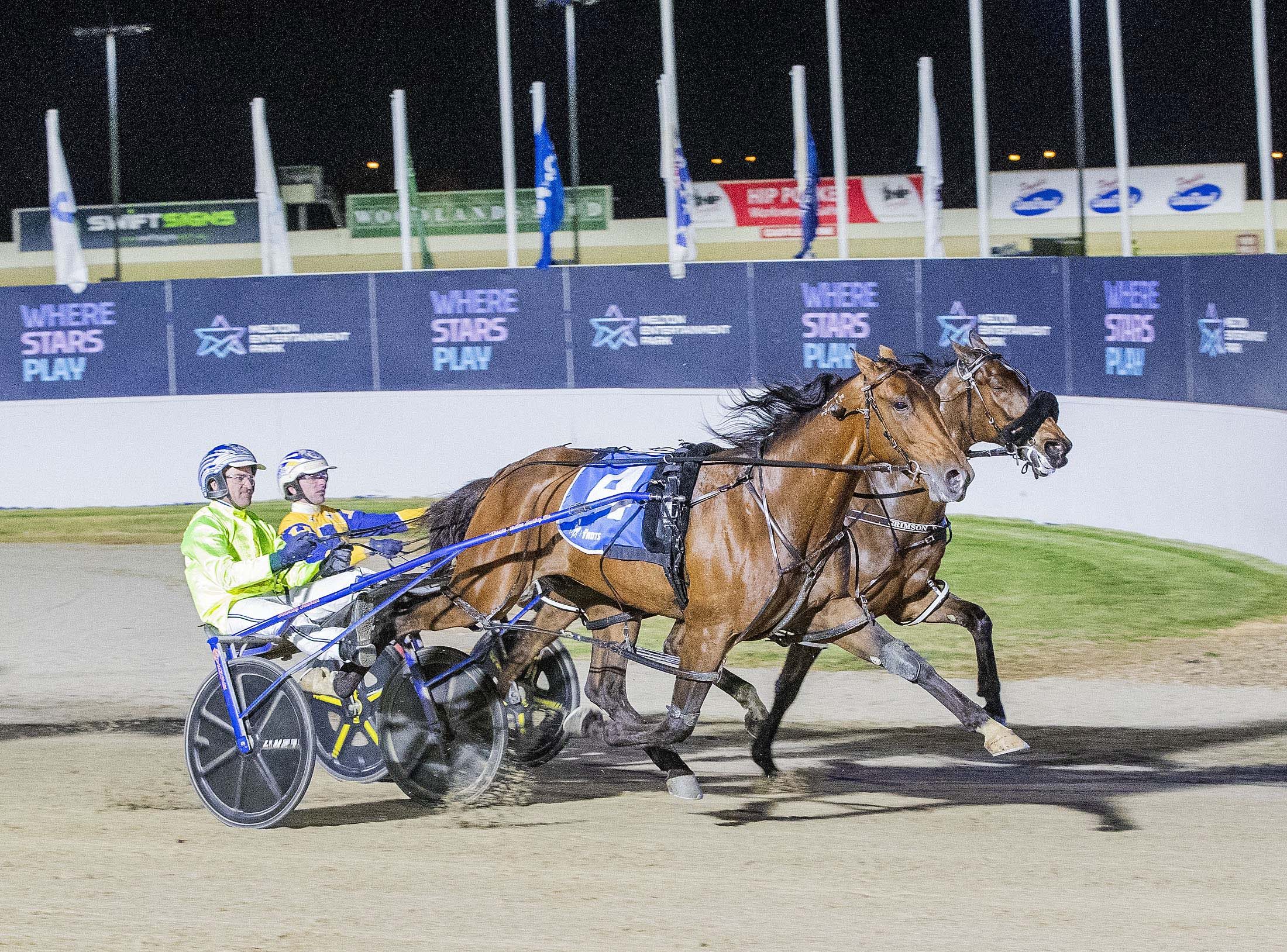 Kingman is confirmed for the New Zealand Trotting Cup