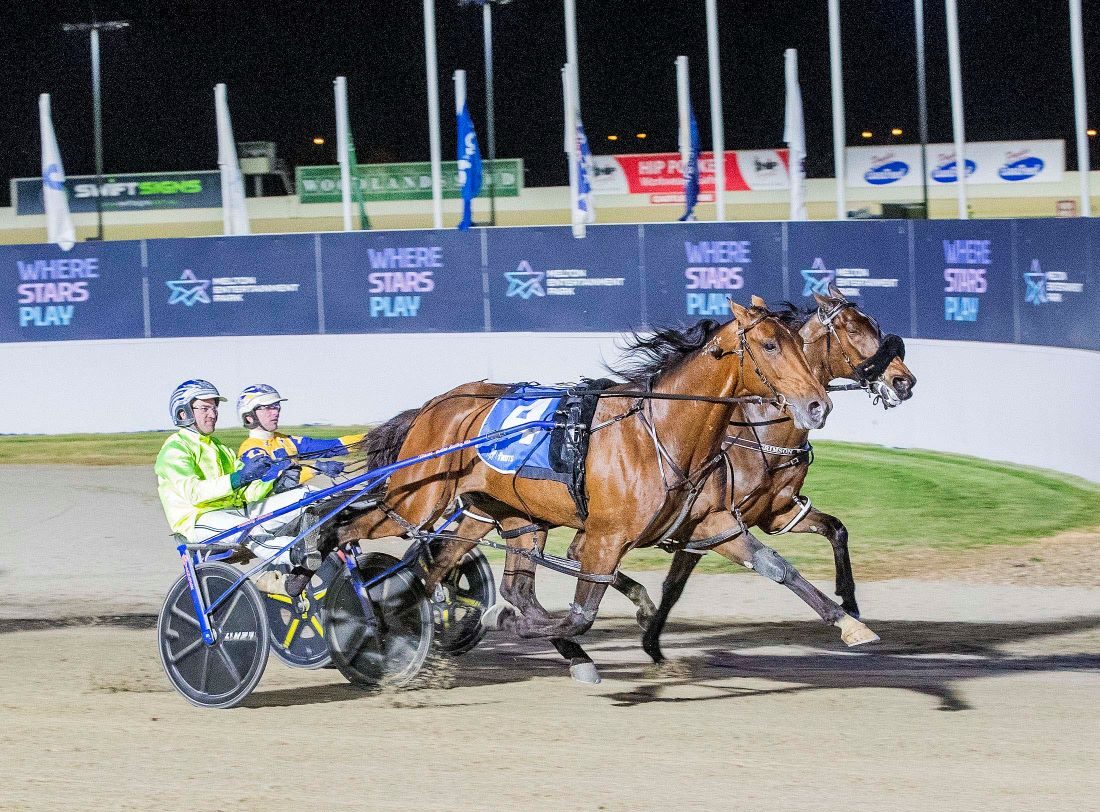 Kingman has plenty of kiwi about him