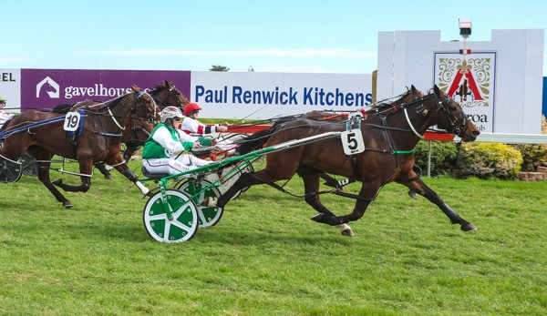 Kiss The Girls does best in drama filled Akaroa Cup