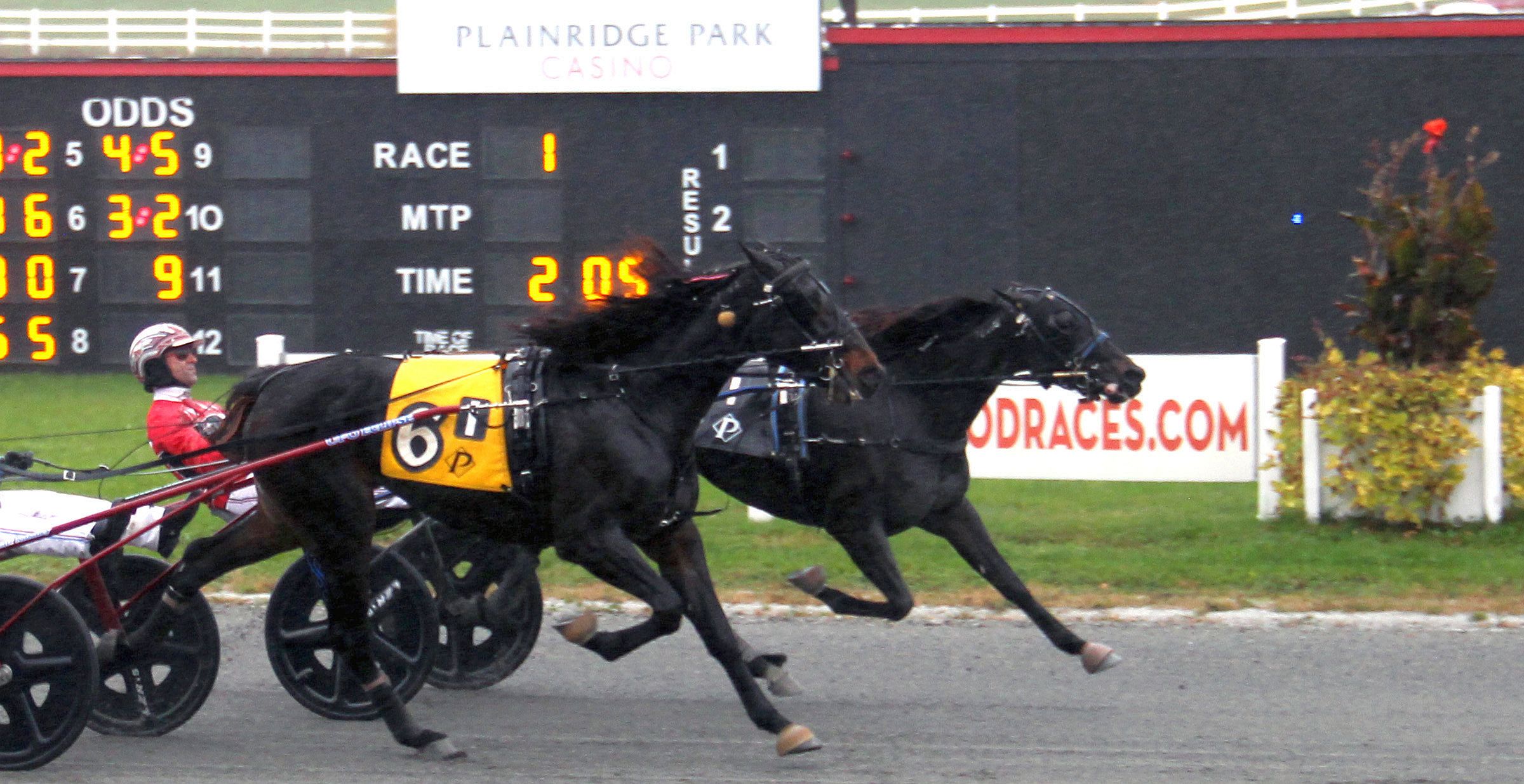 Eight champions crowned on $1.2 million Massachusetts Breeders Stakes day