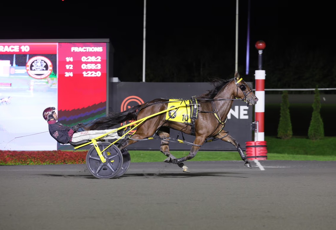Dominant 1:49.3 victory in Breeders Crown elimination