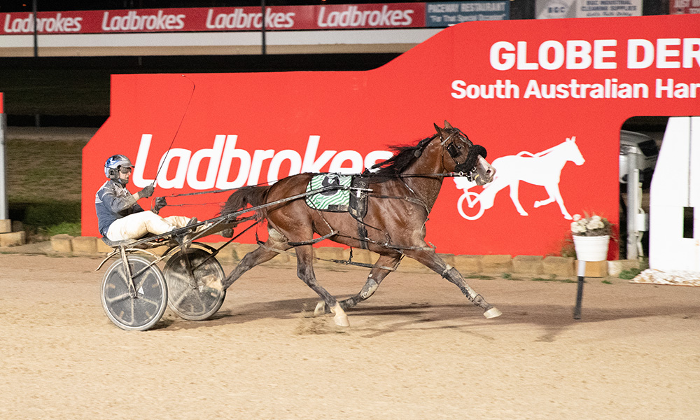 Miki To Success too strong in South Australia Pacing Cup