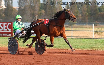 Macao Mip makes an impression