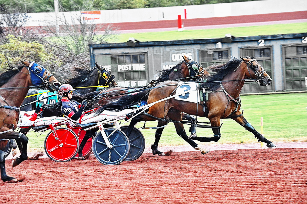 Manolete goes three straight, beats older horses