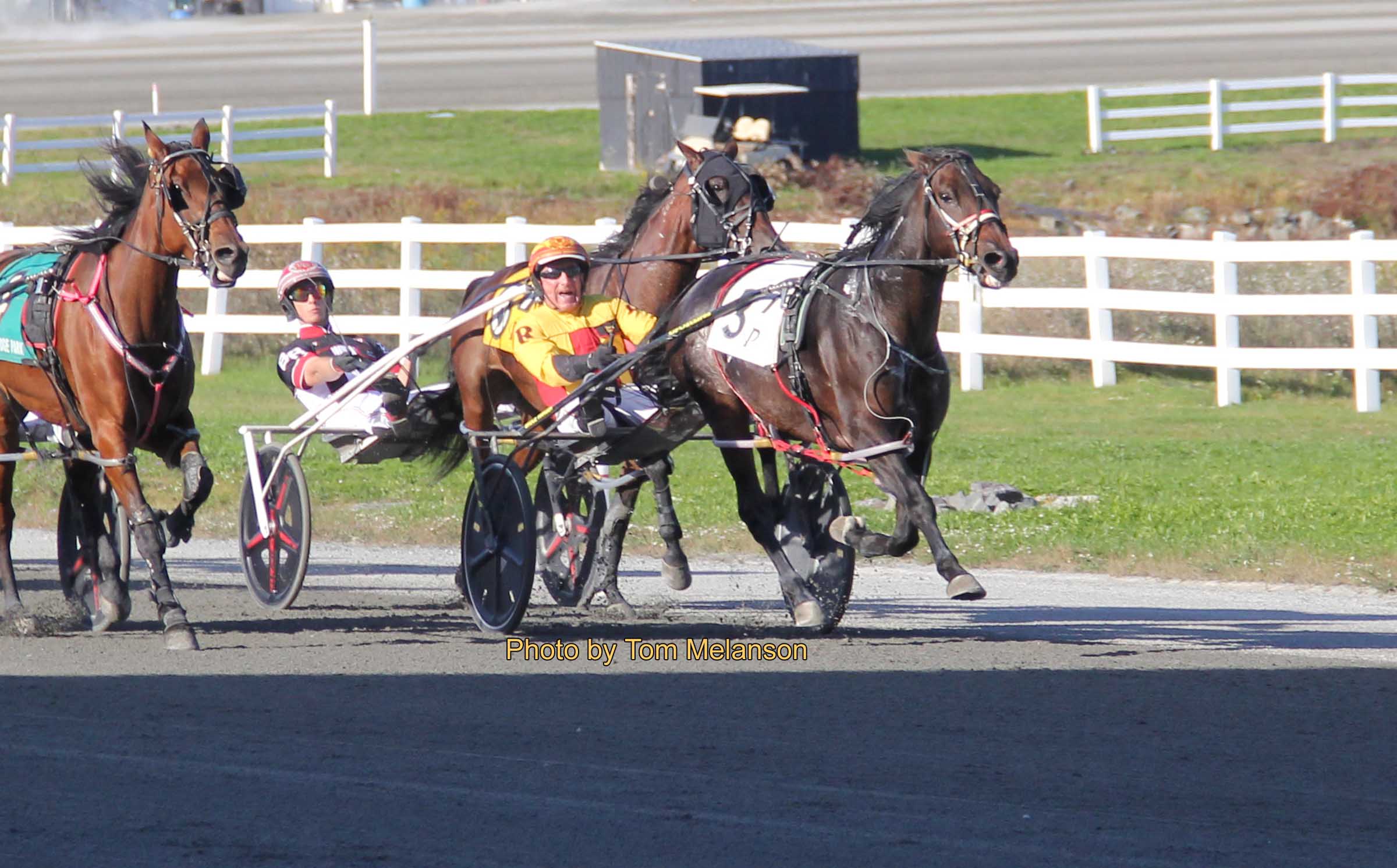 Beckwith wins five, Repeat winners in Opens