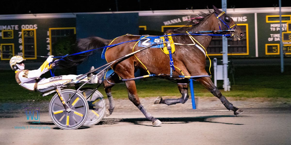 Mateo wins the Breast Cancer Awareness Pace