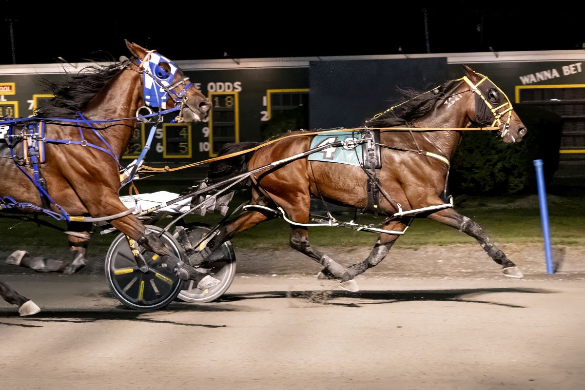 Off the pace winners standout in Opens