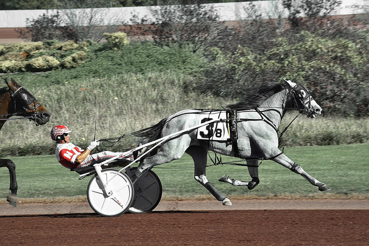 Bar Hopping son, Lazarus filly win features