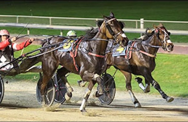Mighty Logan leads Diamond Racing quinella in Worthy Queen Trot