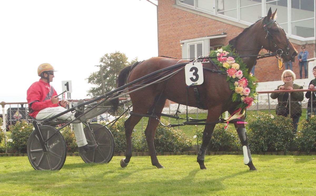 Two Southern fillies head north for Sires’ Stake heat