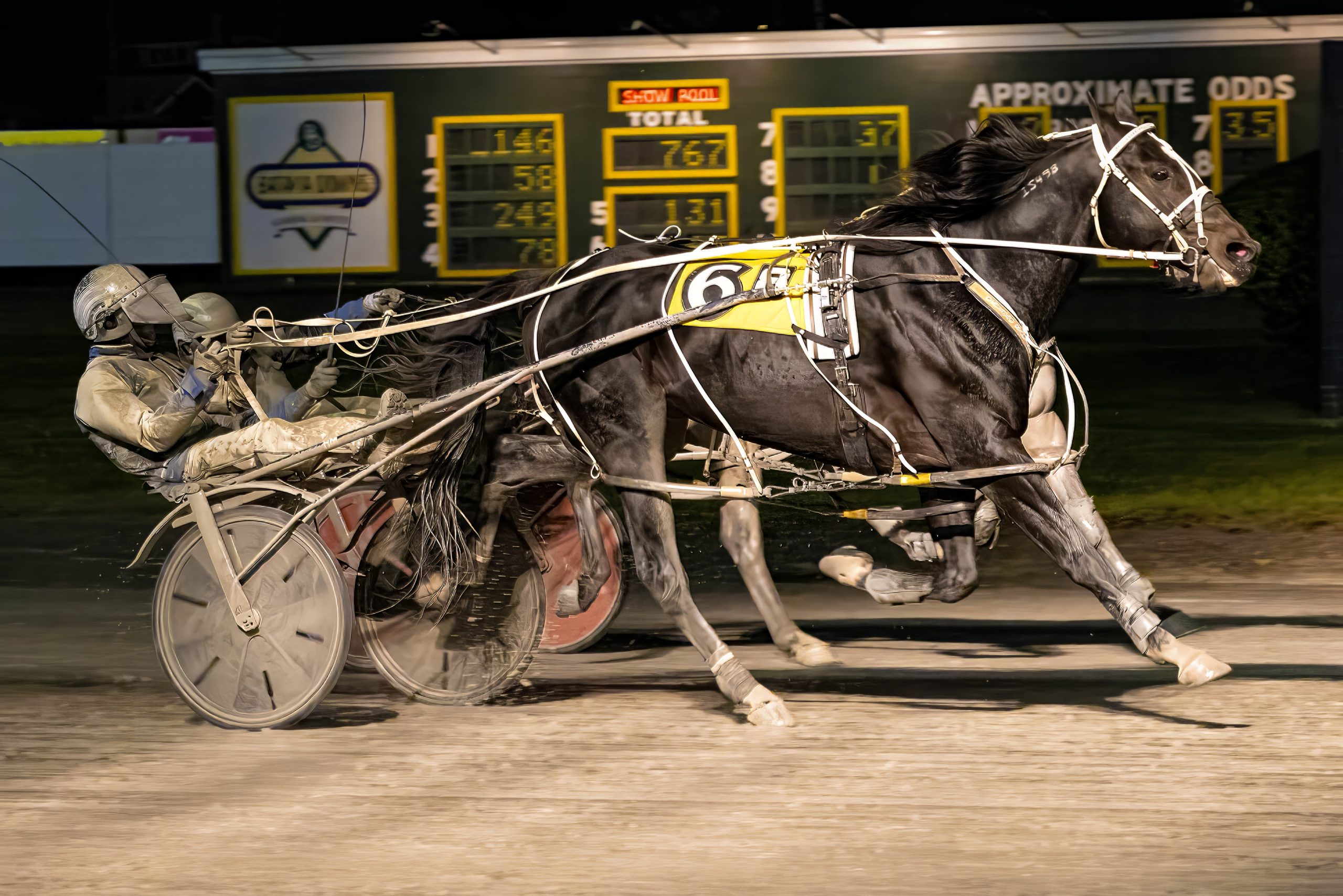 A hard fought victory won by Natameri