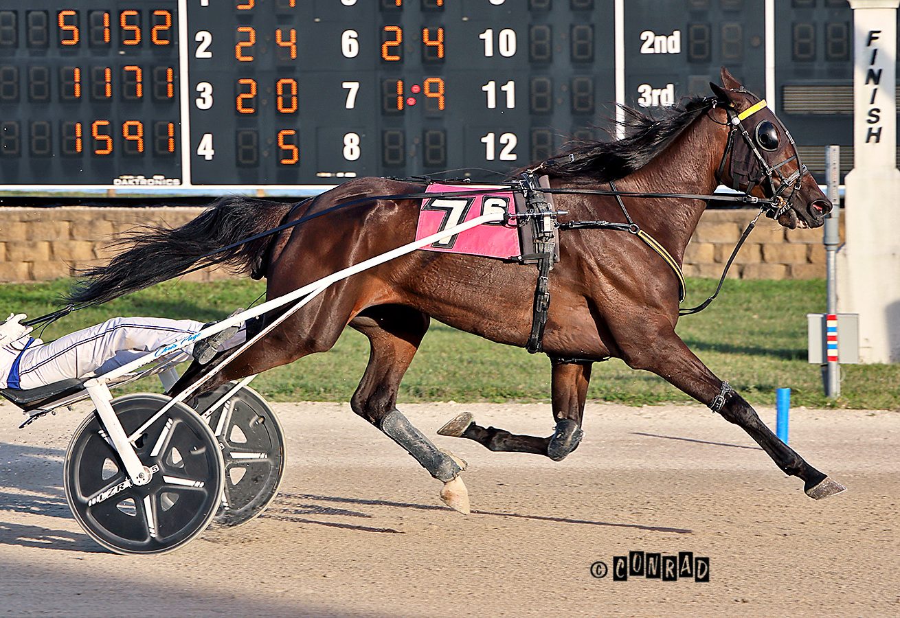 Oh Look Magic takes Open Trot