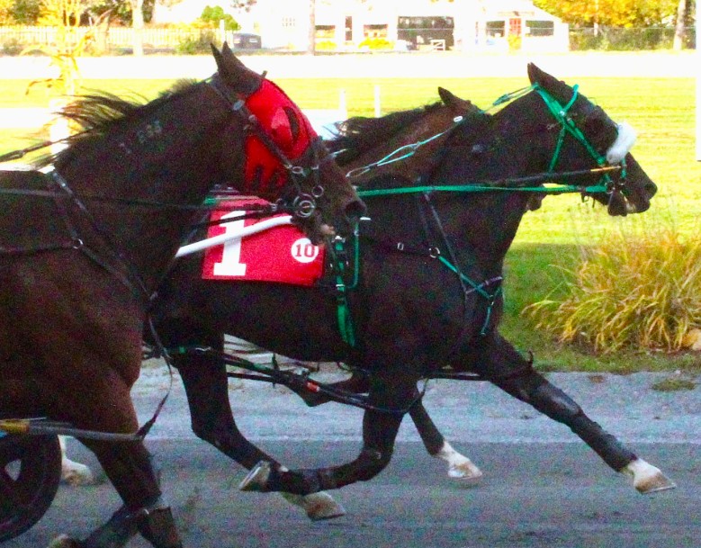 ‘Double Digit Dave’ Ingraham eyes 8,000 career wins