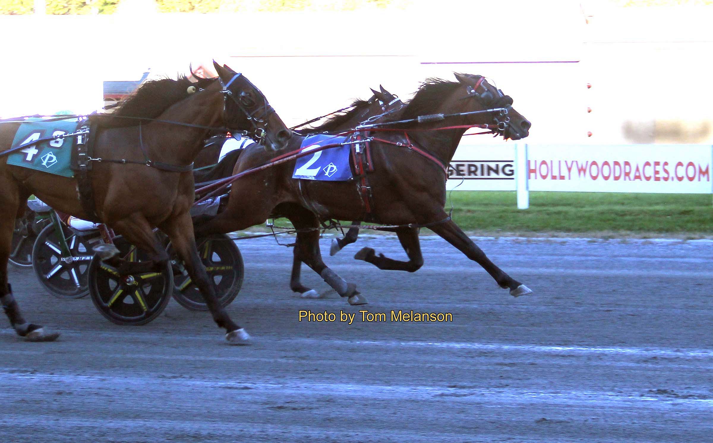 Massachusetts-bred trotters take top two trots