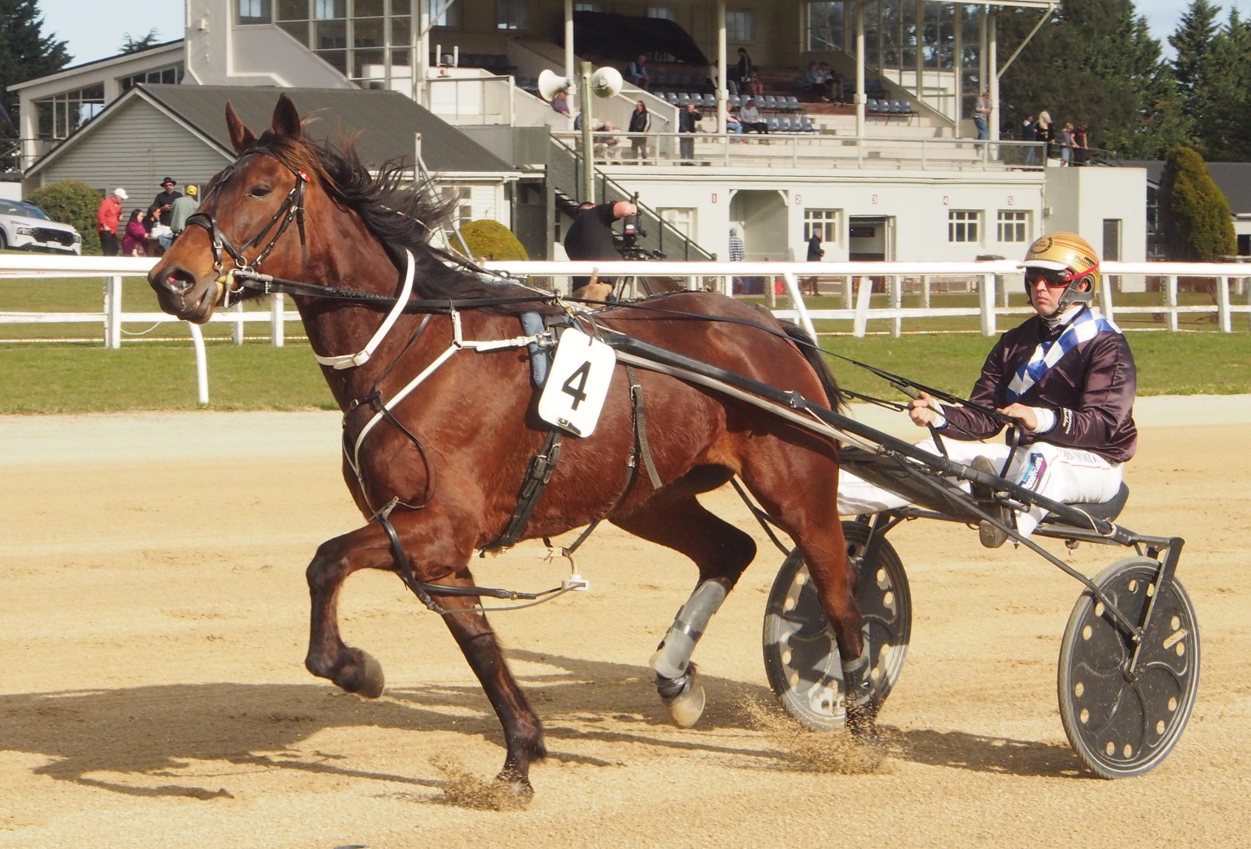 Practical Magic Oamaru